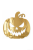 dynia_zlota_plexi__1356x2048.png